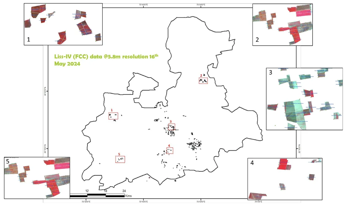 Agroforestry Farm Level Biomass And Carbon Maps - Image 3