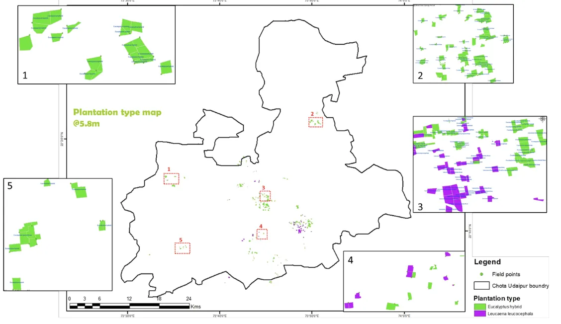 Agroforestry Farm Level Biomass And Carbon Maps - Image 7