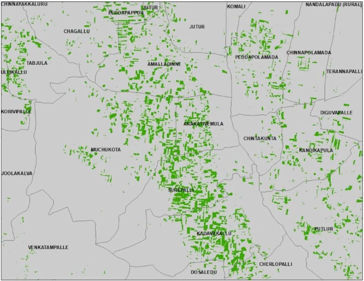 Agroforestry Farm Level Biomass And Carbon Maps - Image 8