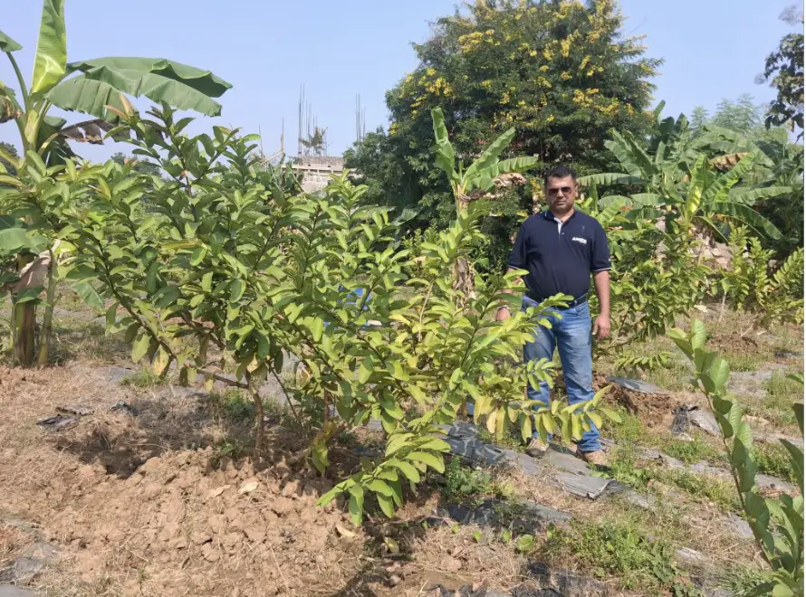 Field Data Collection - Image 4